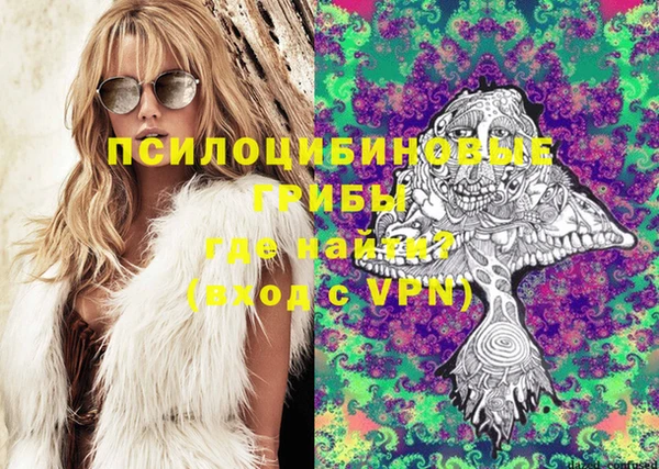 ПСИЛОЦИБИНОВЫЕ ГРИБЫ Волоколамск