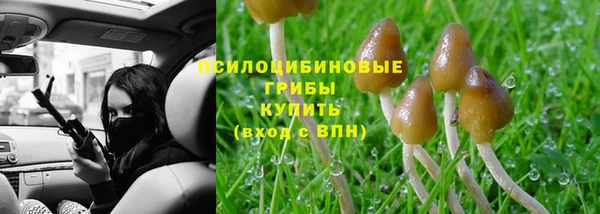 ПСИЛОЦИБИНОВЫЕ ГРИБЫ Волоколамск