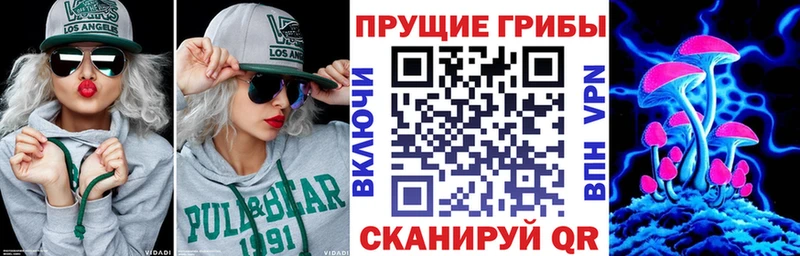 Галлюциногенные грибы Magic Shrooms Купить закладки Курильск